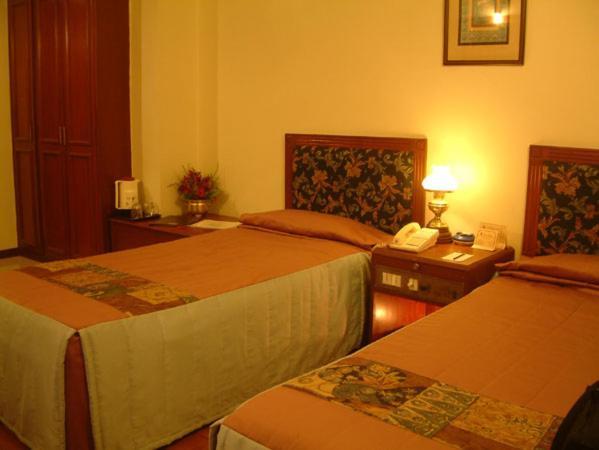 Hotel Amer Palace Бхопал Экстерьер фото